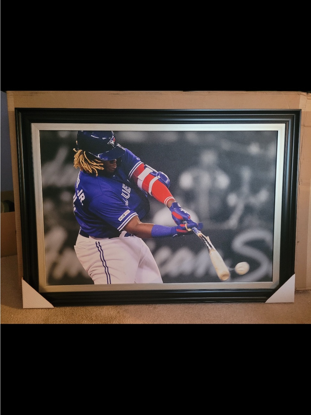 Vladimir Guerrero Jr. Framed Baseball Photo - Blue & White